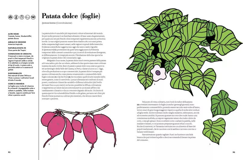 Il libro Edibili. 70 piante sostenibili che stanno cambiando il nostro modo di mangiare è disponibile in libreria