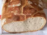 Ricetta Pane con farina semintegrale e integrale di segale
