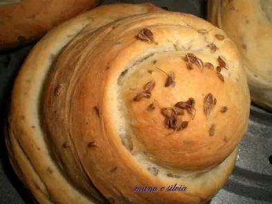 Chioccioline di pane all'anice - foto 2