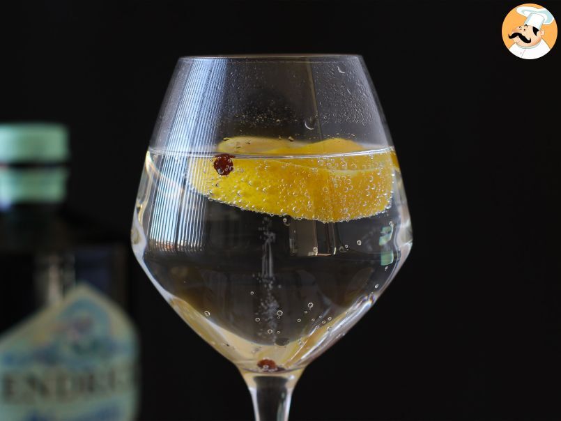 Come preparare a casa un ottimo Gin Tonic? - foto 2