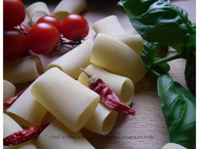 PACCHERI AI TRE POMODORI : fior di filetti - pomodori secchi - pomodorini - foto 2