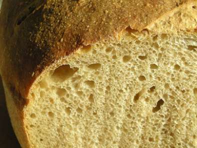 Pane di farina di manitoba con aggiunta di farina di segale