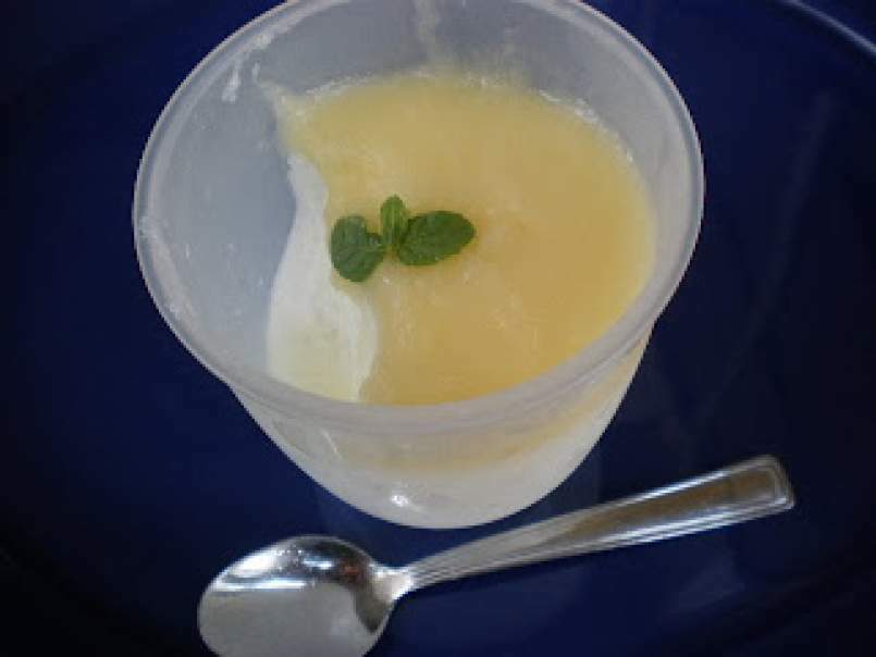 Yogurt e agar-agar in salsa di ananas - foto 7