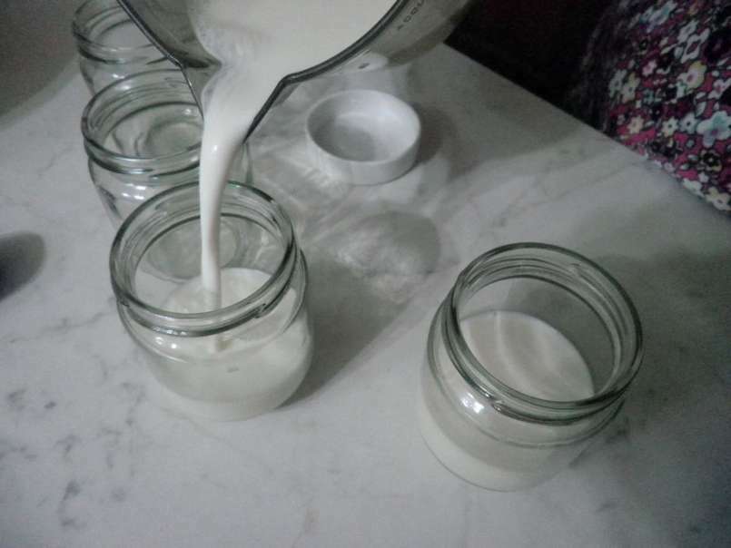Yogurt Naturale fatto in casa con latte di Capra - foto 3