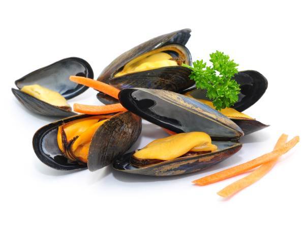 cozze