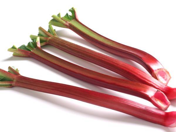 rabarbaro
