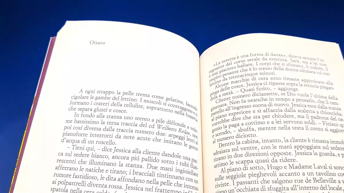Il cuoco giapponese di Lucia Visonà è disponibile in libreria