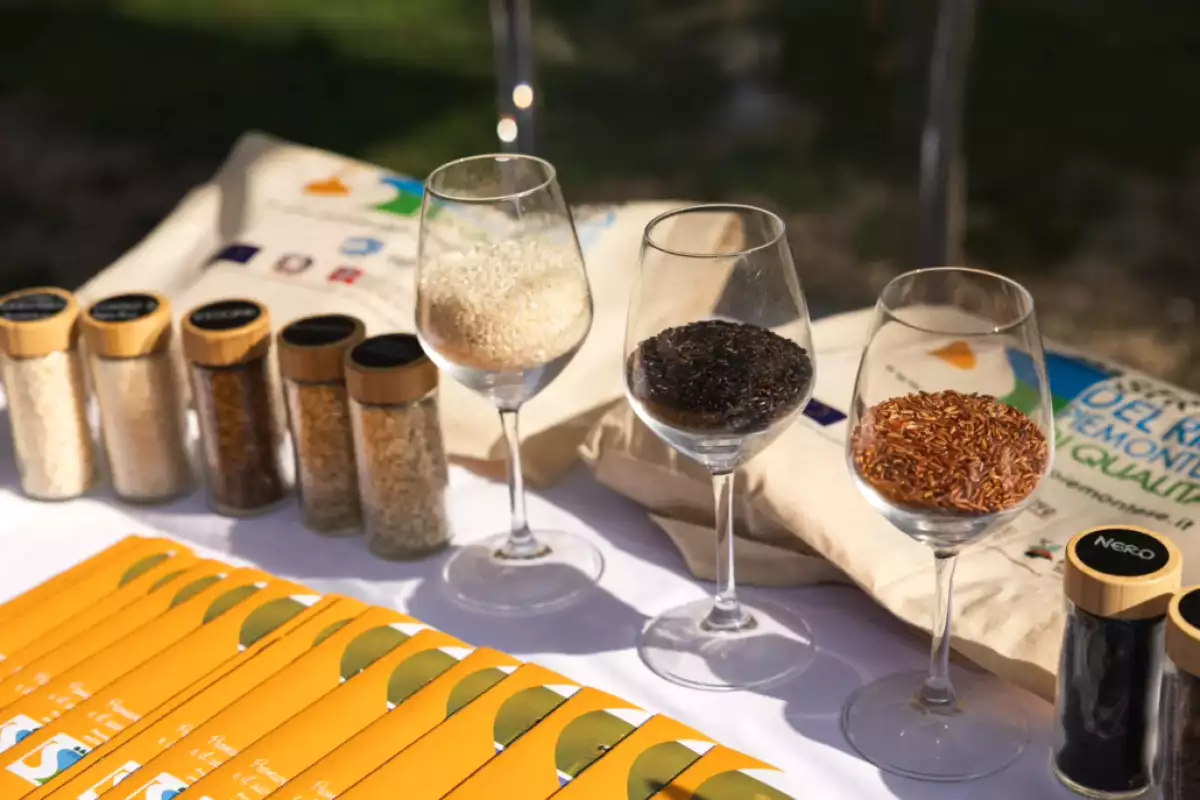 Risò per famiglie: bambini, laboratori e attività curiose
