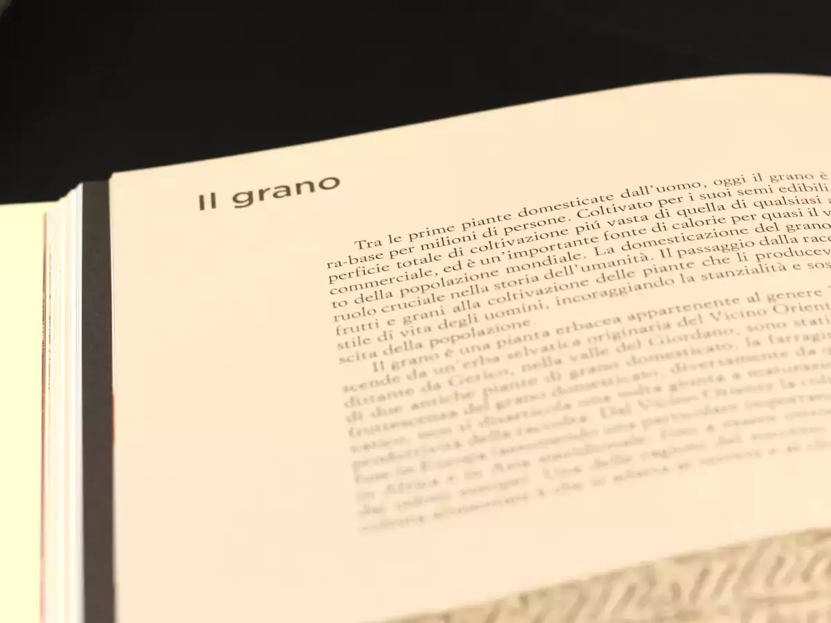 Per chi è questo libro (e perché leggerlo)?