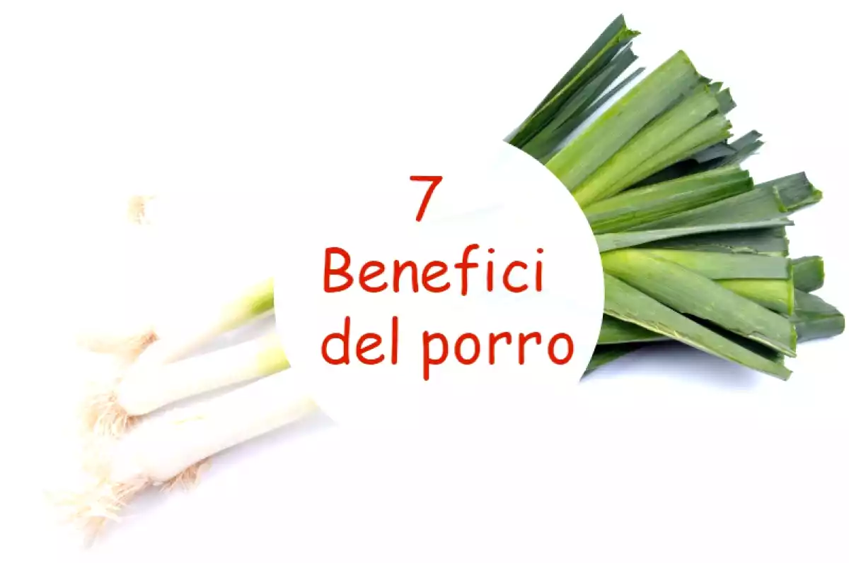 Il Porro: scoprite i benefici di questo ortaggio