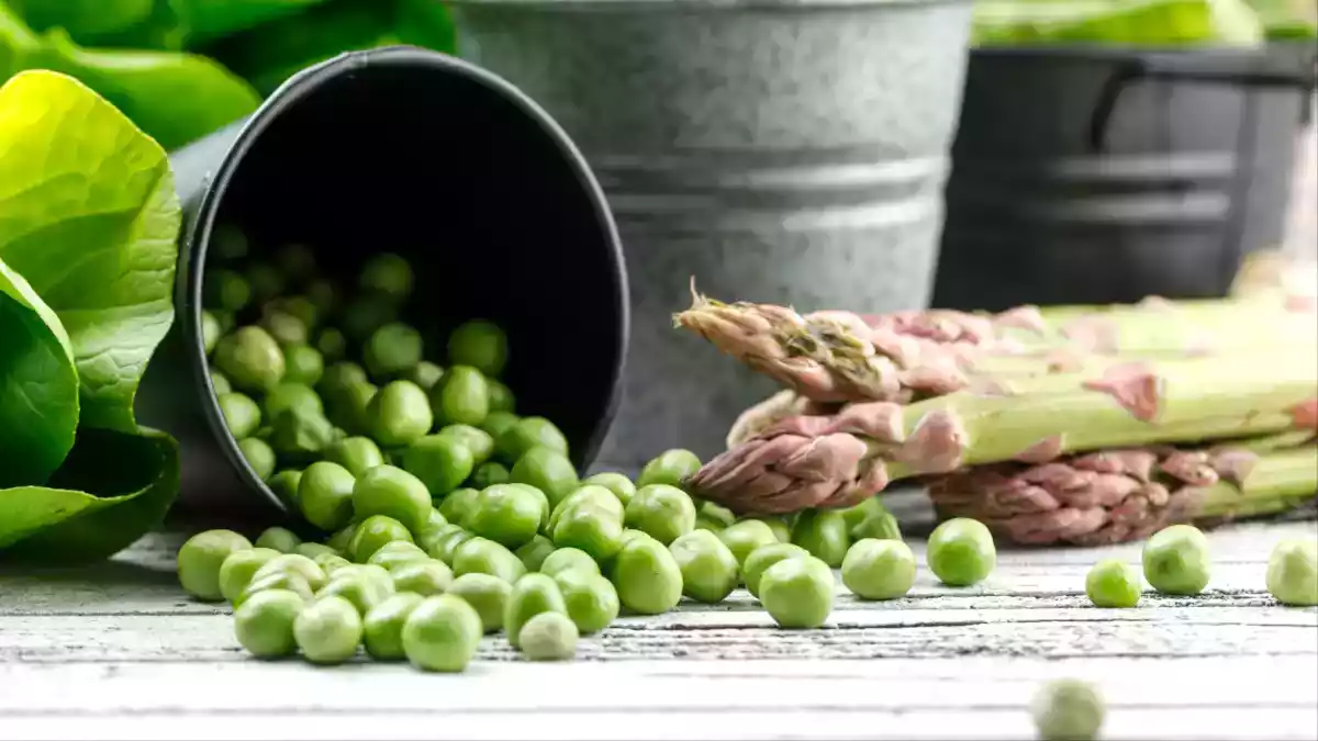 Primavera nel piatto: scopri le novità del fruttivendolo e come esaltarle al meglio!