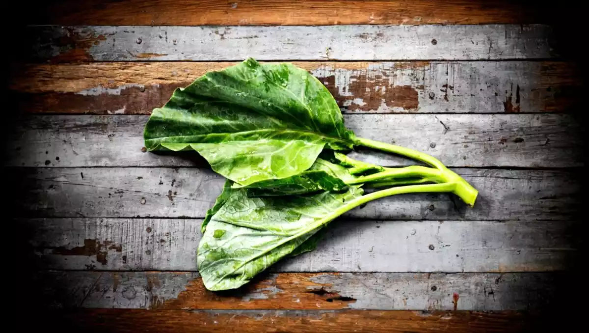 Questa verdura ha più ferro degli spinaci! L'avete provata?