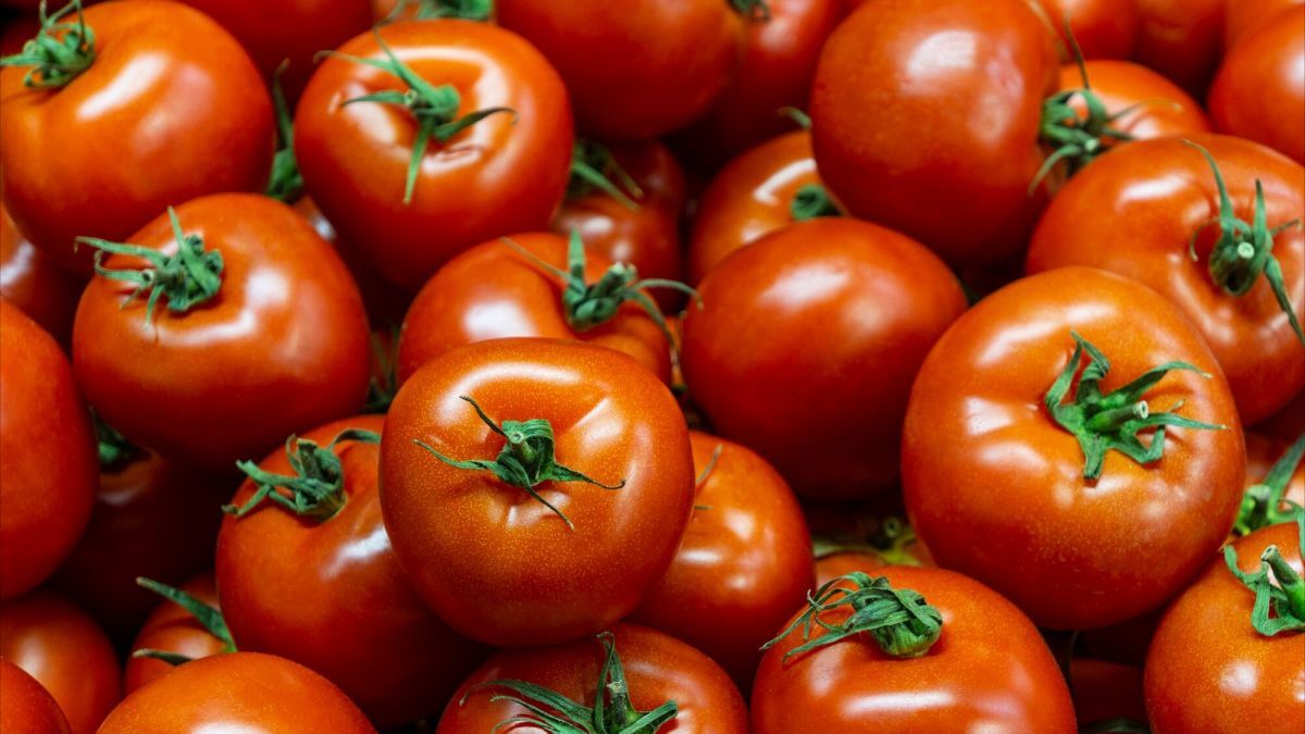 I pomodori durano di più: 5 consigli che funzionano davvero