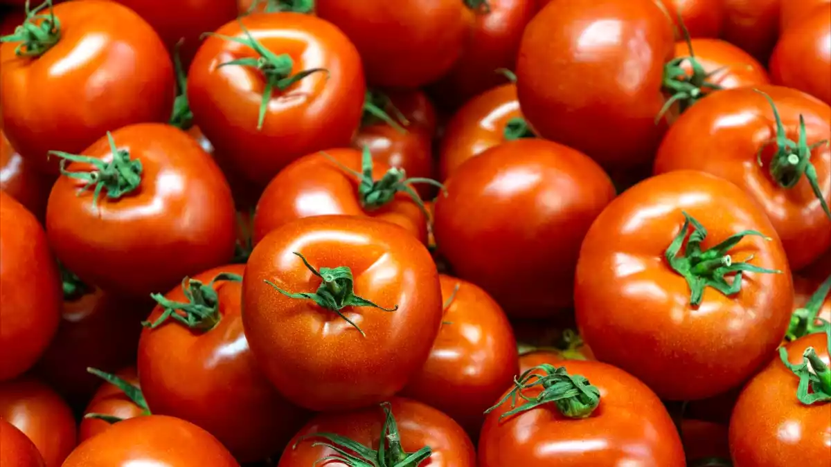 I pomodori durano di più: 5 consigli che funzionano davvero