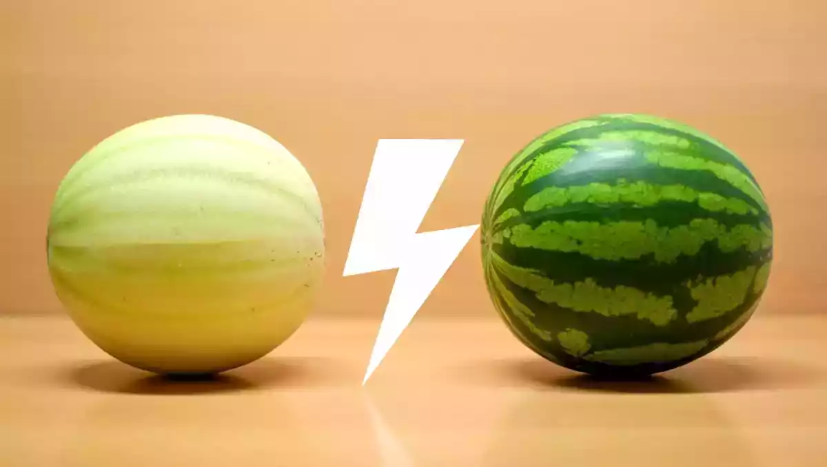 Melone o anguria: qual è la frutta più idratante per l’estate?