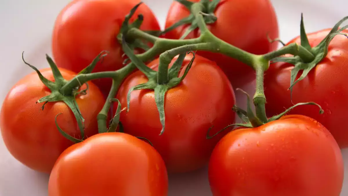 8 ricette con pomodori che ti faranno dimenticare la solita insalata
