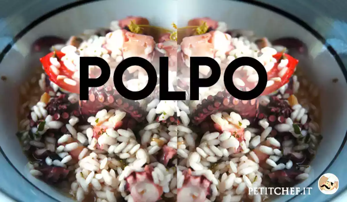 Cucinare il polpo: le migliori ricette per portarlo in tavola