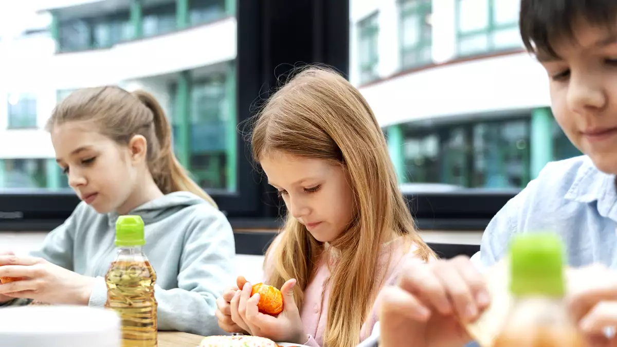 Il pesce più popolare nei menu delle mense scolastiche è stato vietato in Francia per la sua tossicità