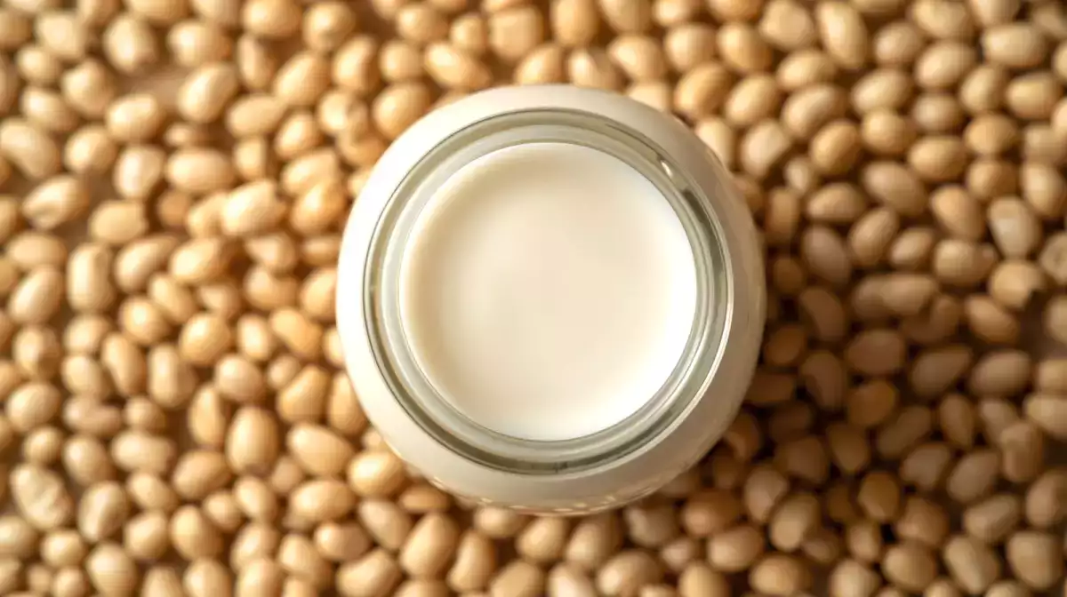 Qual è il latte vegetale più sano? Scopriamolo!