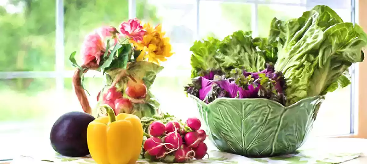 Estate in cucina: le migliori raccolte di ricette per la bella stagione