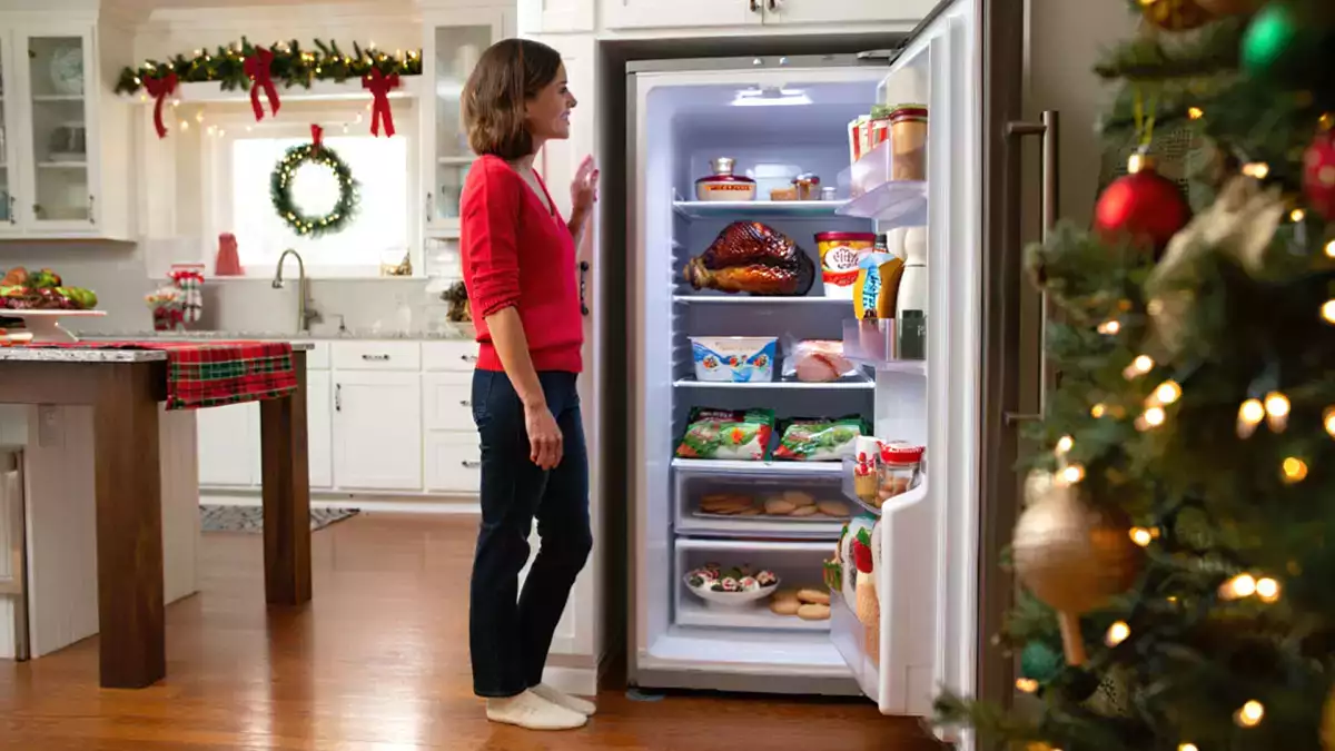 Come organizzare il freezer prima di Natale per non impazzire il giorno del Pranzo