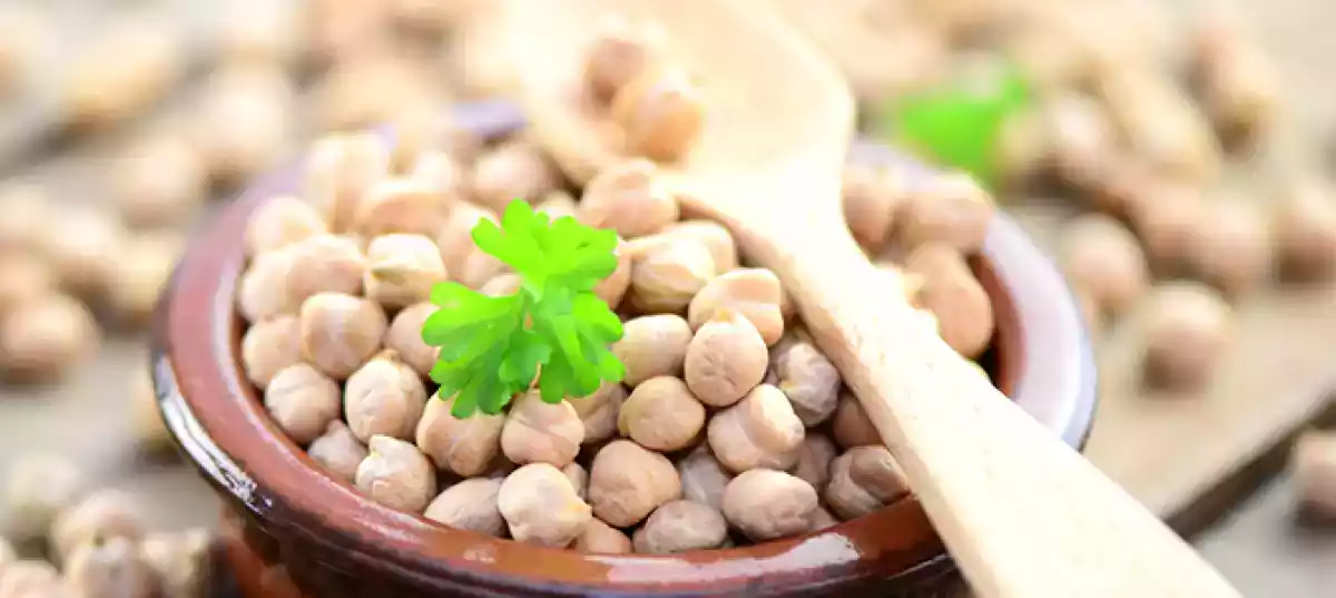 Cosa posso preparare con i ceci? Le migliori ricette scelte per voi
