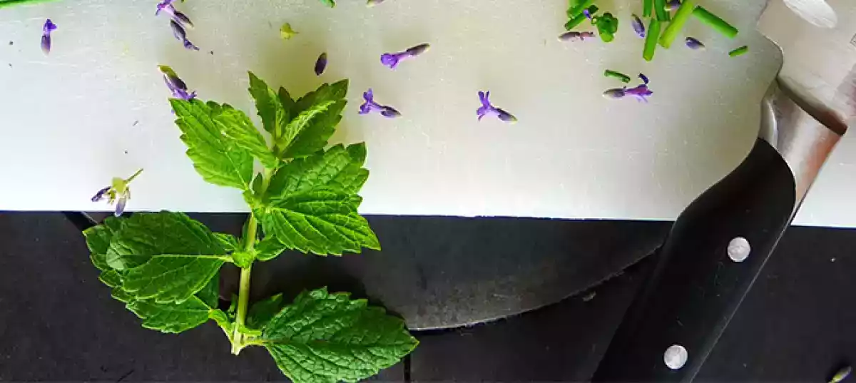 Cucinare con la menta: ricette fresche e profumate da servire a tavola