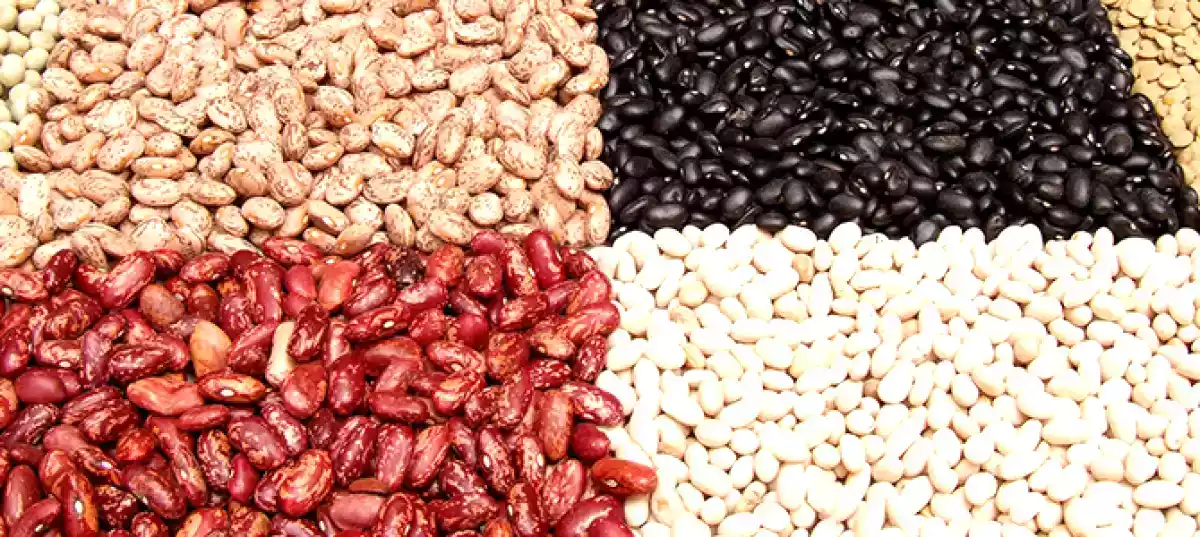 Cosa preparare con i fagioli: 12 irresistibili ricette scelte per voi!