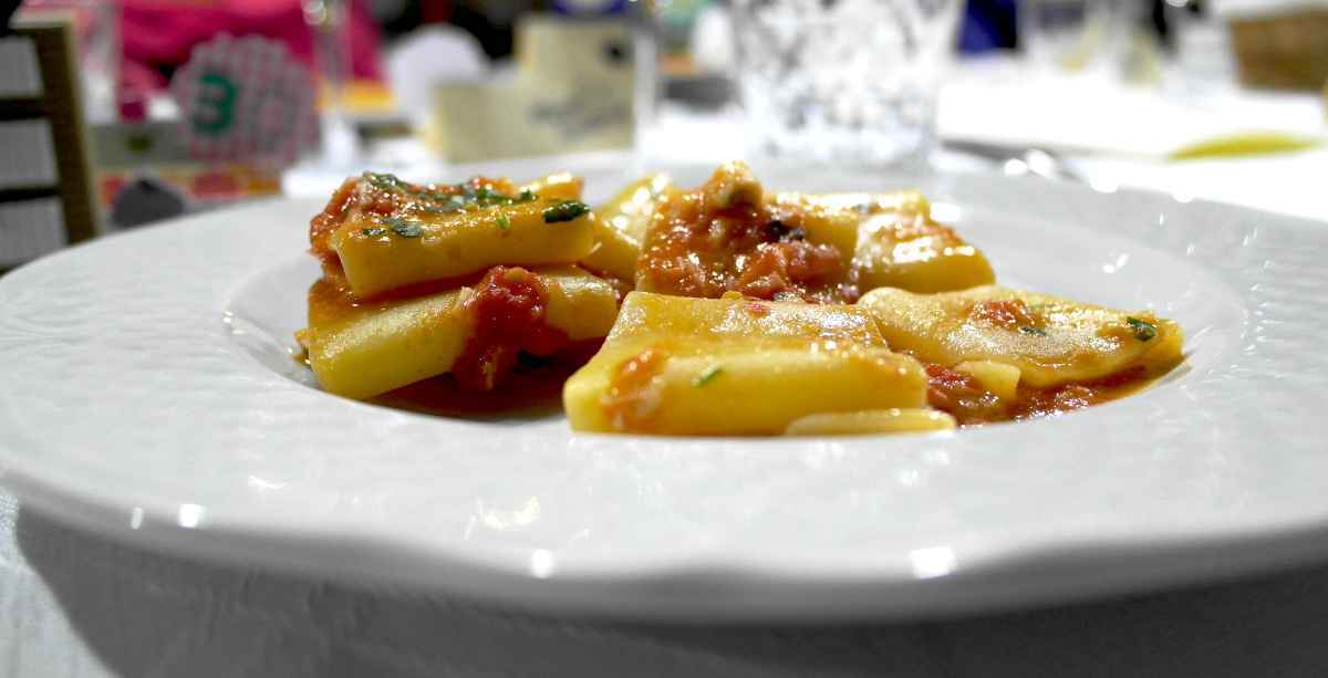 Paccheri: tante ricette per preparare primi piatti strepitosi!