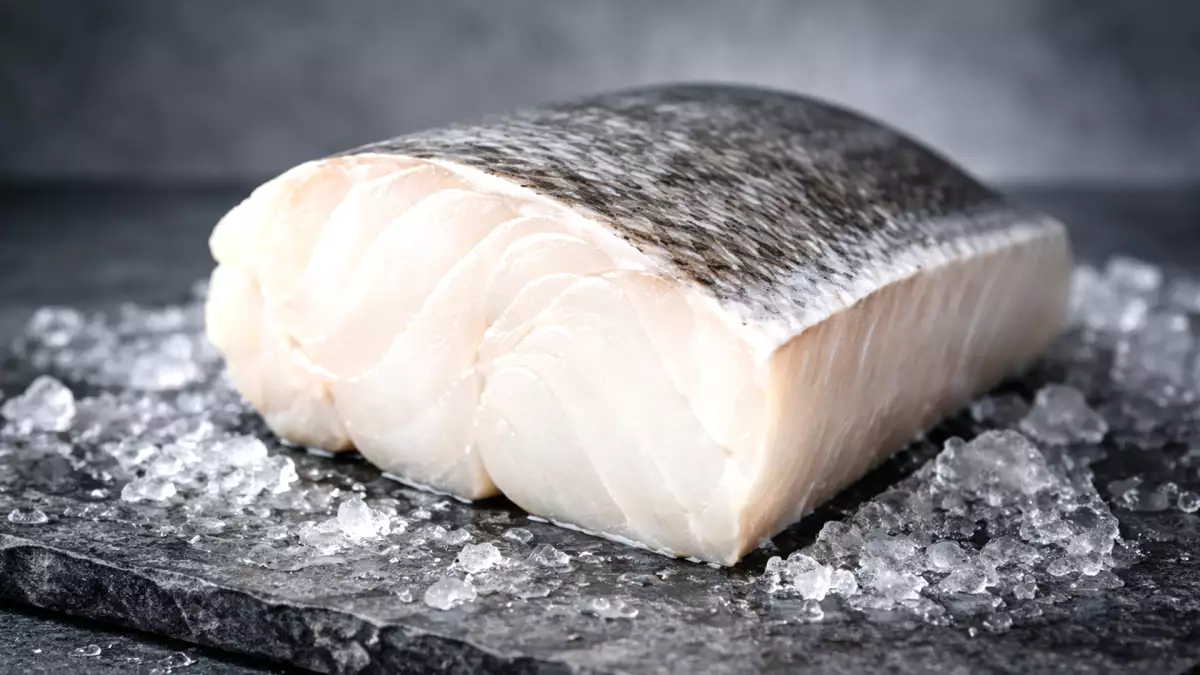 Skrei cod: il merluzzo più ricercato del momento e il segreto del suo successo in cucina