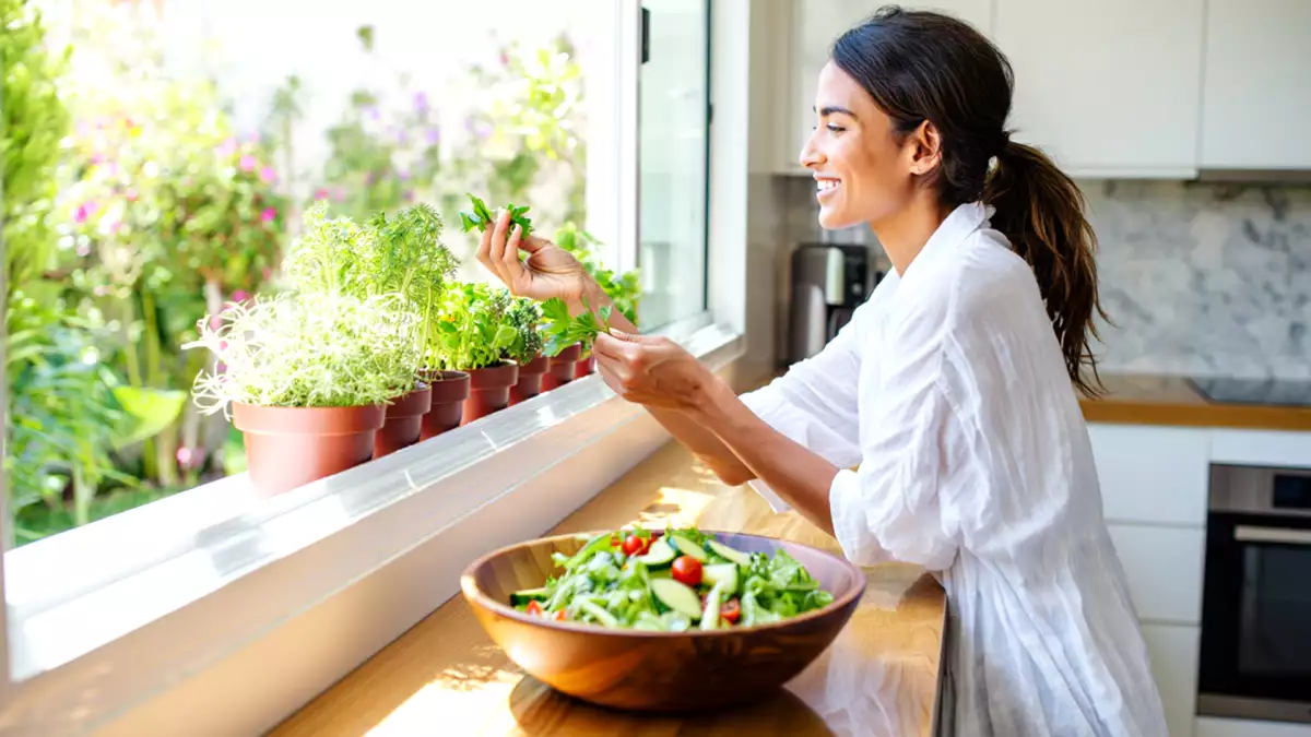 Scopri le erbe aromatiche perfette per crescere in cucina e quali temono la mancanza di sole