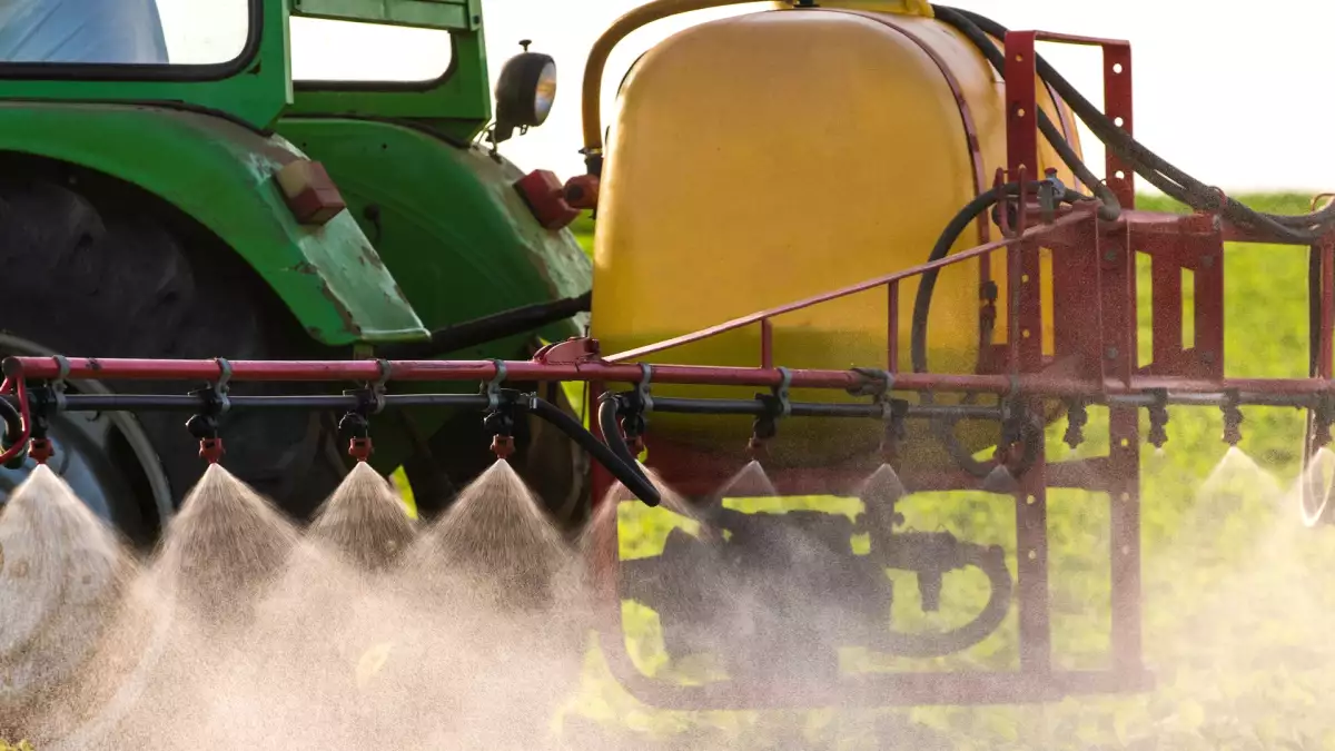 Cibi biologici e cadmio: cosa ha rivelato l’Anses e perché sempre più consumatori sono allarmati?