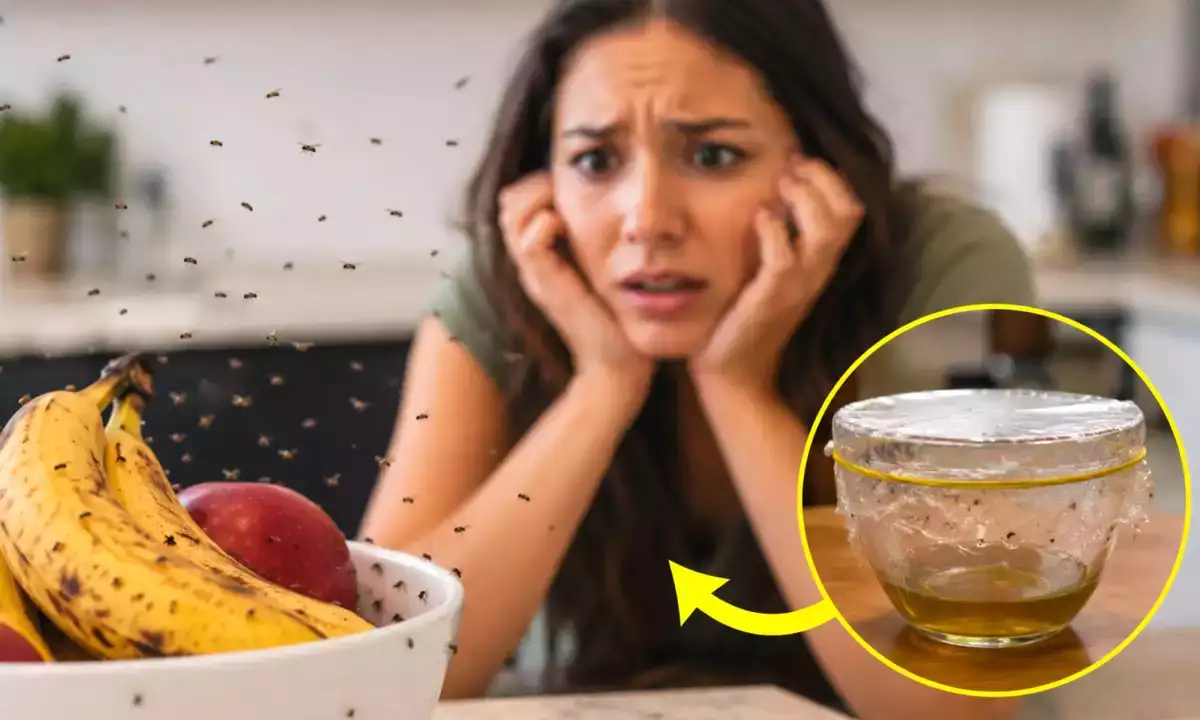 Come eliminare i moscerini in cucina in una sola notte: il rimedio naturale (senza spray chimici)