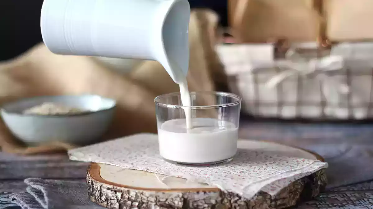 Come preparare il latte d'avena a casa?