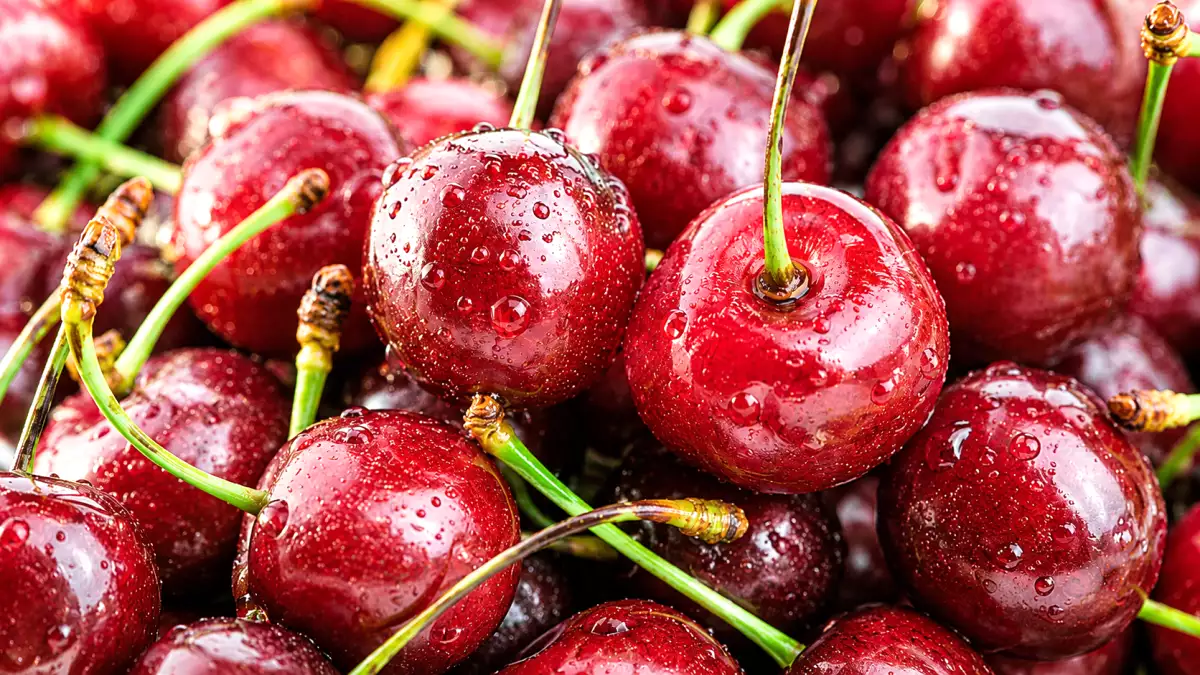 Non comprare ciliegie acquose: i trucchi per scegliere frutti dolci e mature al banco del mercato