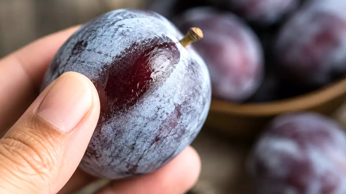 Sembra sporco, ma cos’è in realtà quella patina biancastra sulle prugne?