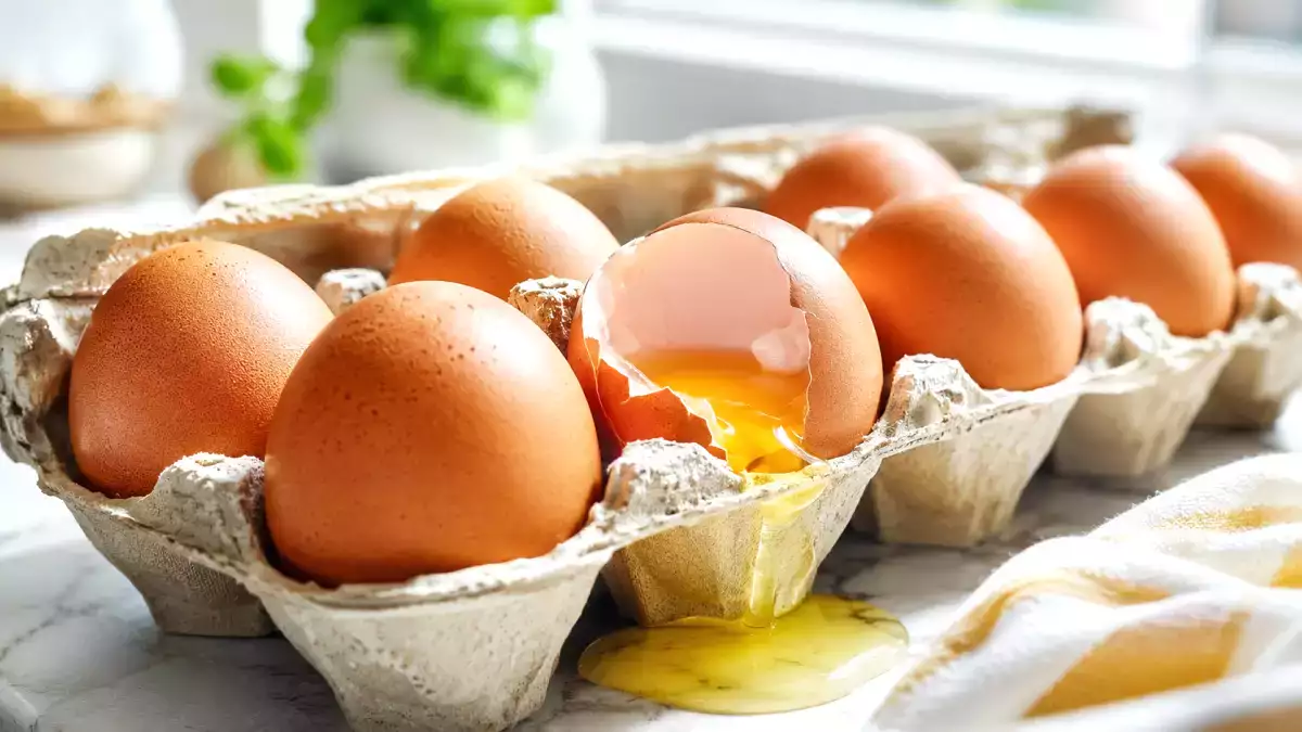 Uova richiamate per Salmonella: controlla subito questi 4 lotti