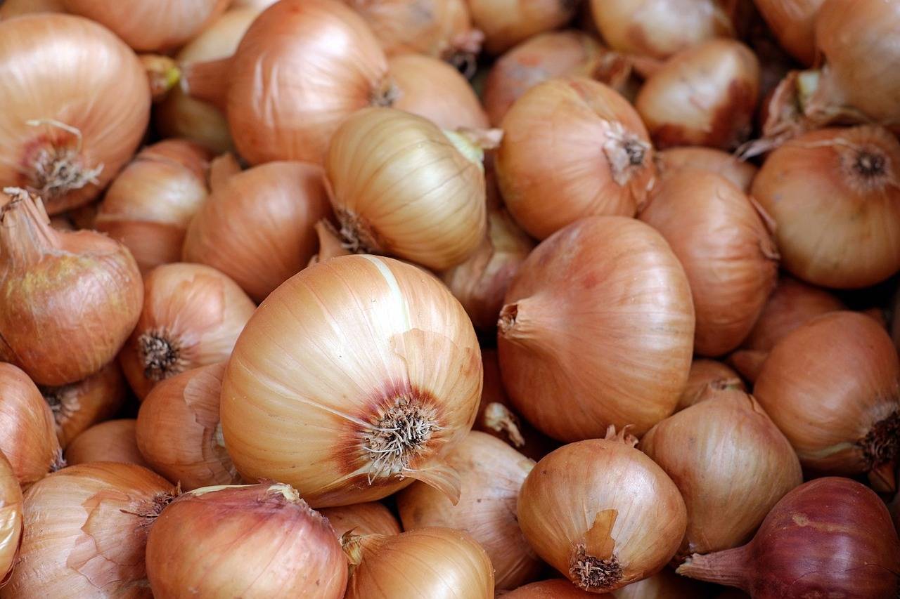 Bucce di cipolla: 4 modi per riciclarle senza gettarle nella spazzatura