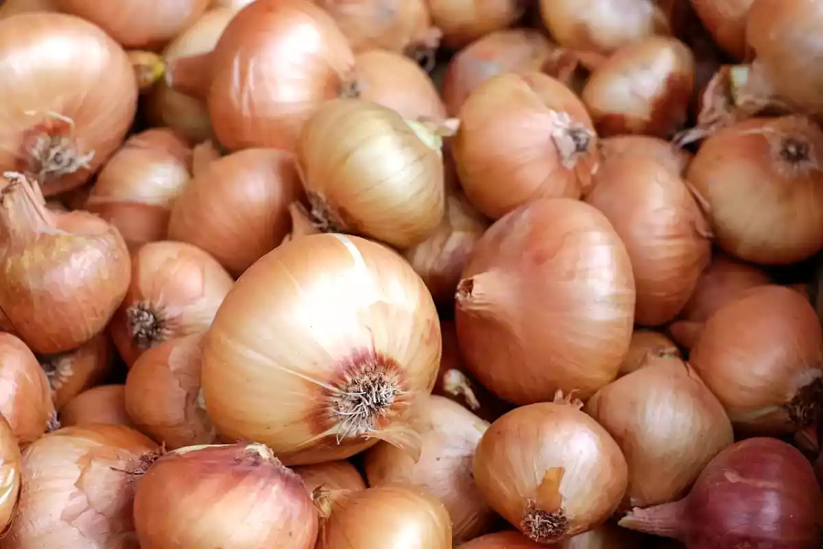Bucce di cipolla: 4 modi per riciclarle senza gettarle nella spazzatura