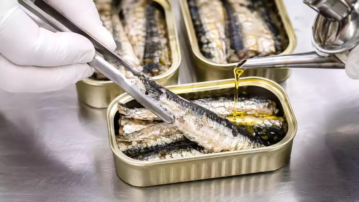 Dentro le sardine in scatola: cosa c’è davvero nelle lattine e perché è utile guardarle con più cura
