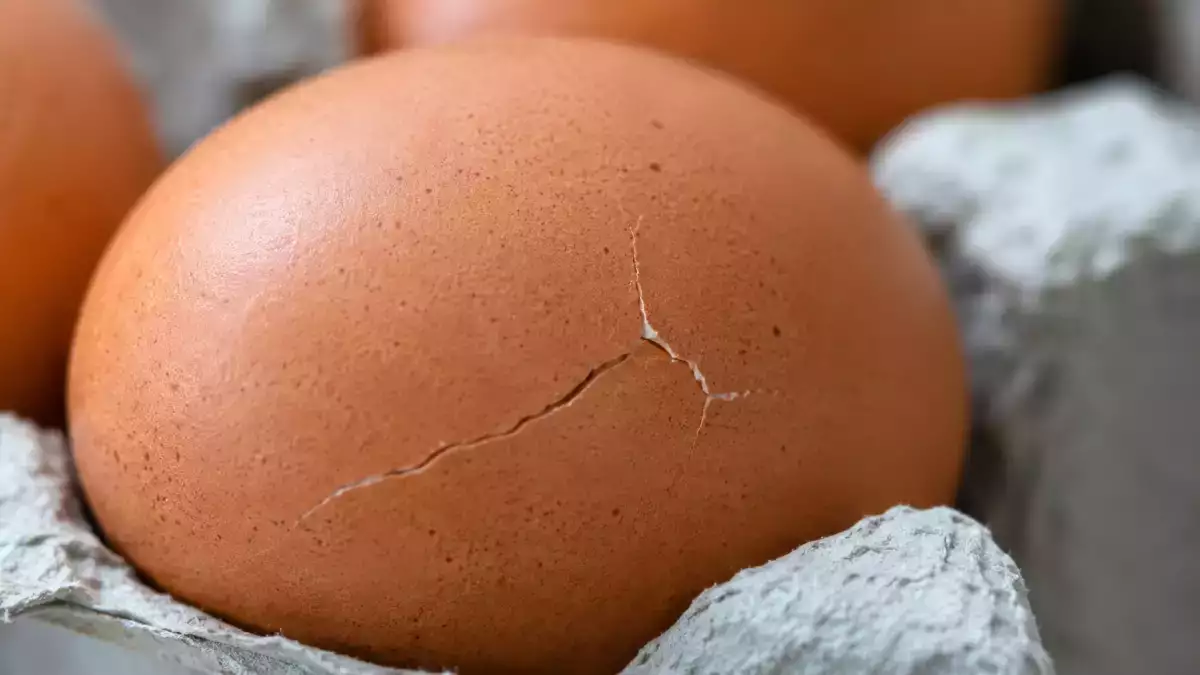 Uovo con il guscio crepato, quando puoi mangiarlo e quando è meglio buttarlo