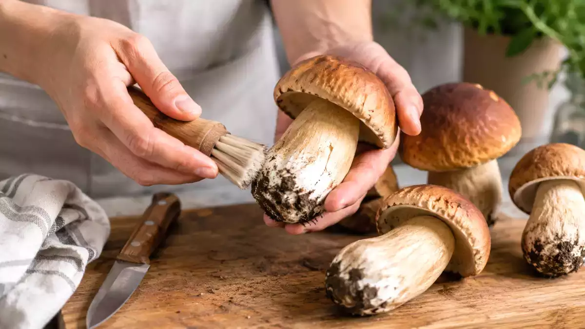 Hai appena pulito i porcini freschi? Il semplice gesto da evitare assolutamente prima di cuocerli