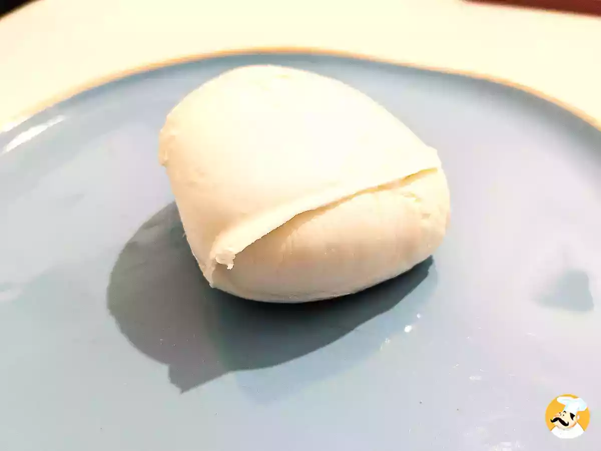I trucchi per gustare la mozzarella di bufala come un vero italiano!