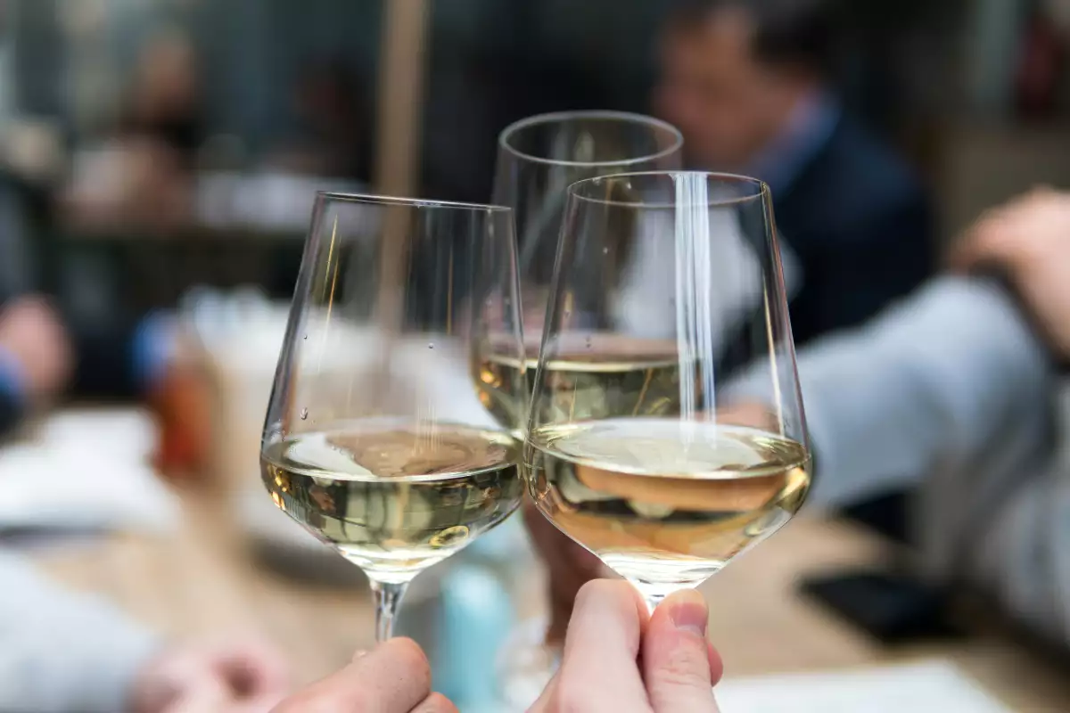 Milano Wine Week 2026: la città si prepara a 9 giorni d’autunno dedicati ai calici