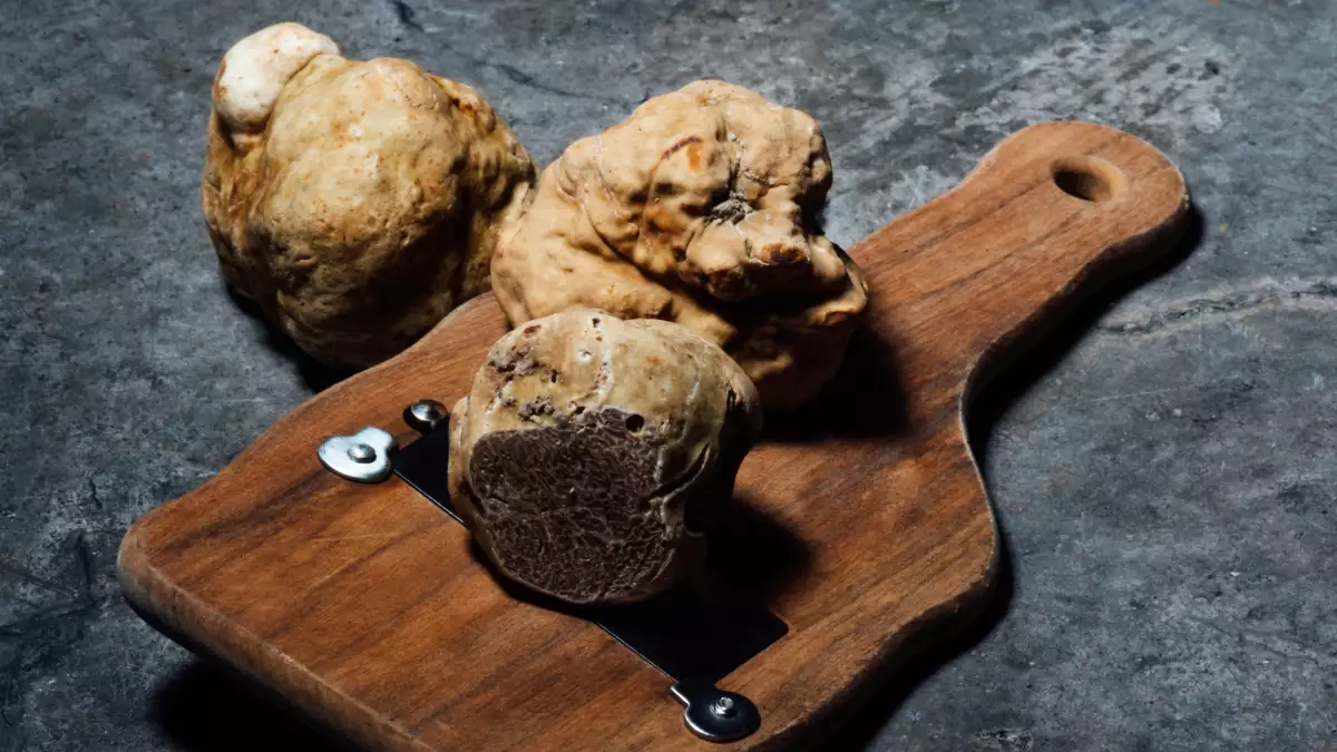 Dall’acquisto al piatto: come pulire il tartufo senza rubargli il profumo