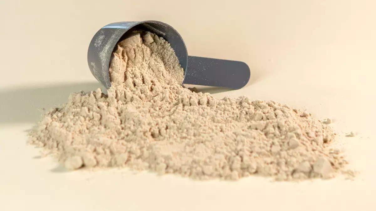 Vuoi comprare proteine in polvere? Ecco i dettagli da controllare prima di scegliere il prodotto