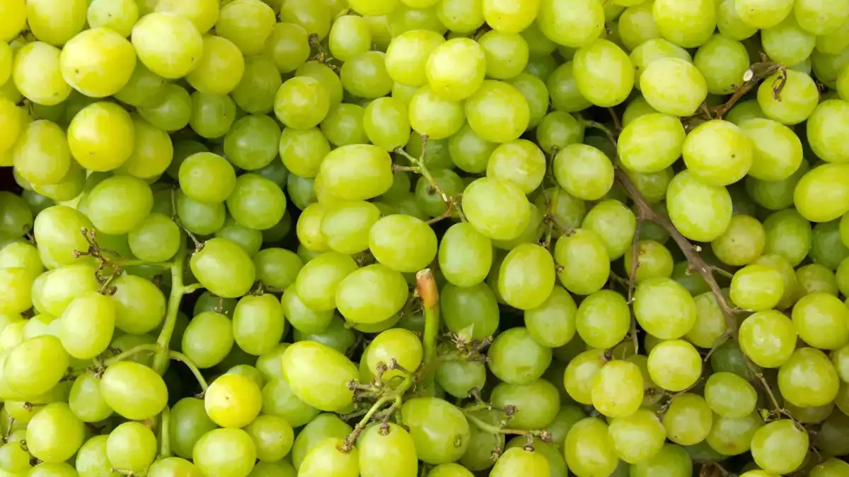 Uva molle dopo pochi giorni? I 4 gesti da fare appena torni dalla spesa per conservarla meglio
