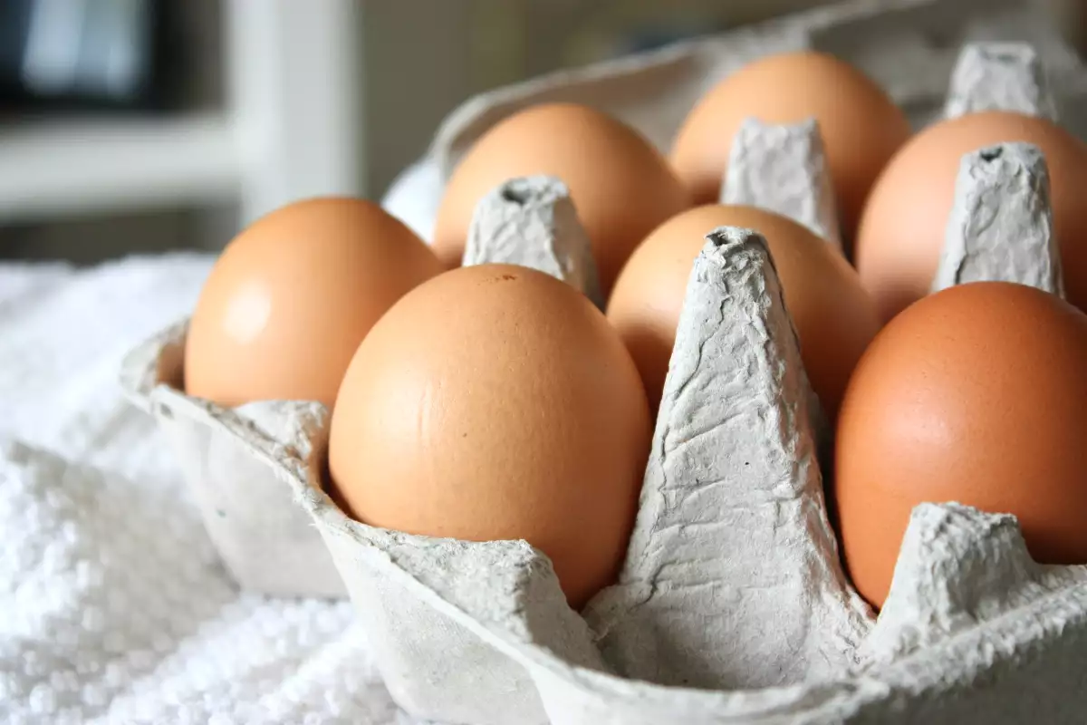 Allerta Salmonella, richiamate uova biologiche: i marchi coinvolti e i 17 lotti da controllare