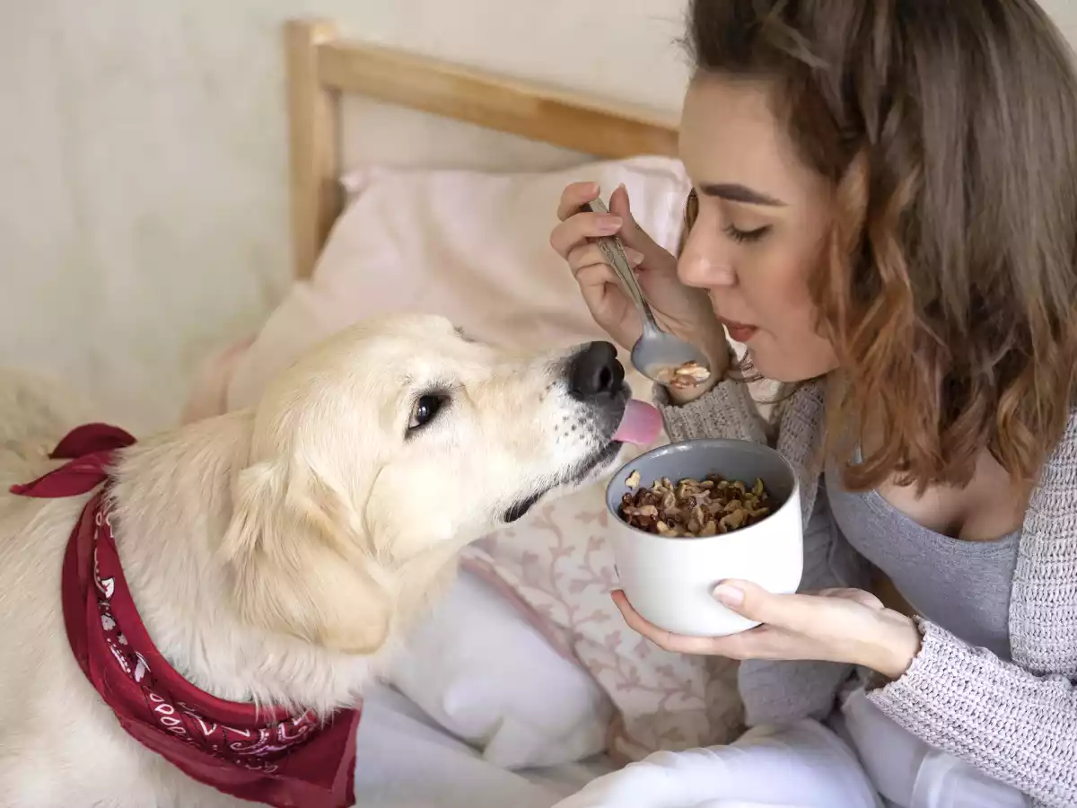 8 alimenti che non dovete assolutamente dare al vostro cane!