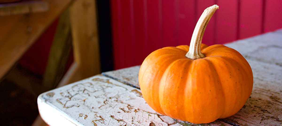 Ingrediente del mese di ottobre: la zucca